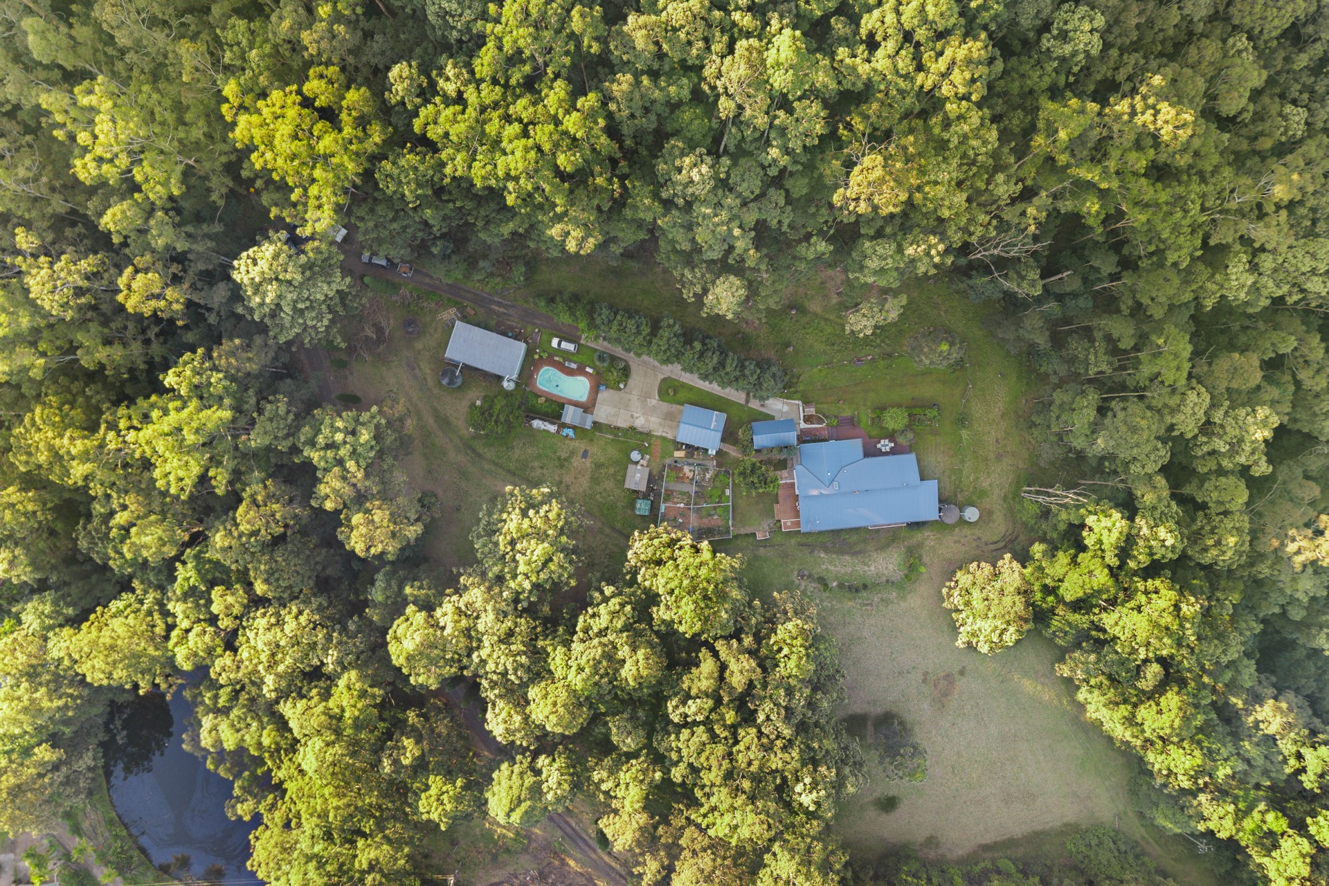 Aerial view of the home, pool and shed nestled in established forest