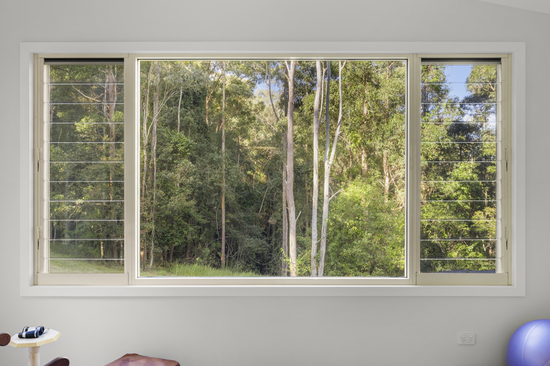 Louvre window with forest view